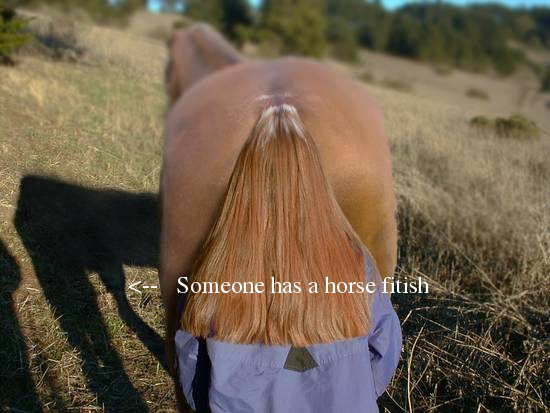 i think the horse likes it