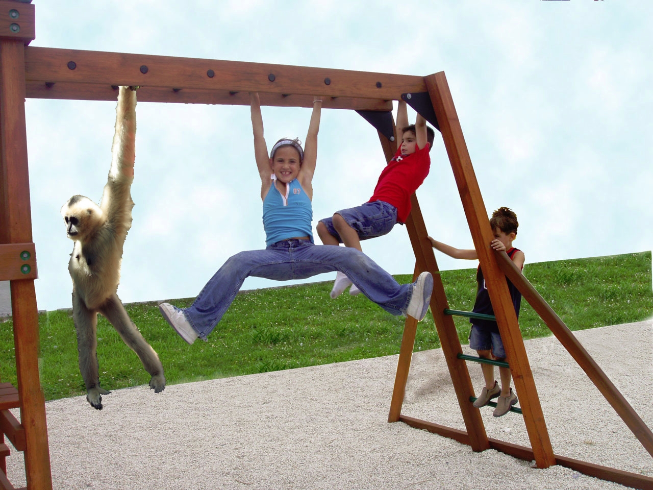 Monkey Bars - Picture | eBaum's World