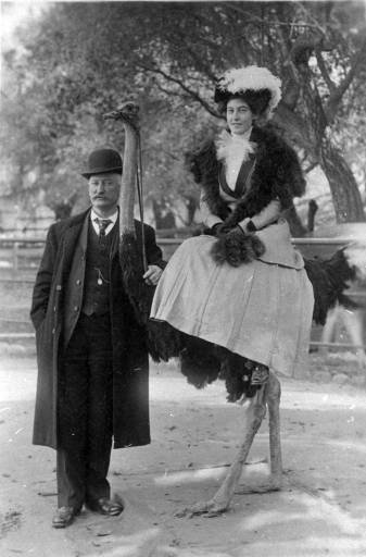 Funny Ostrich Riding... Back in The Day
