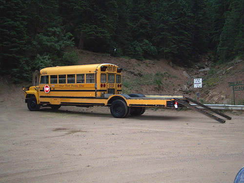 School Busses Forever