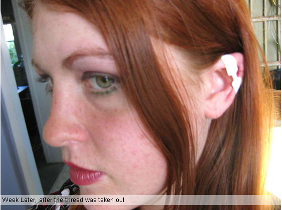 Another New Body Modification. Elf Ears.