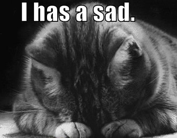 has a sad cat - I has a sad.