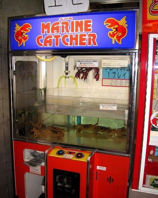 Claw Machine for Marine Life