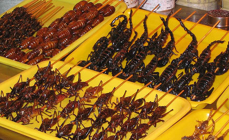 Beetles China