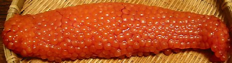 Salmon Eggs China