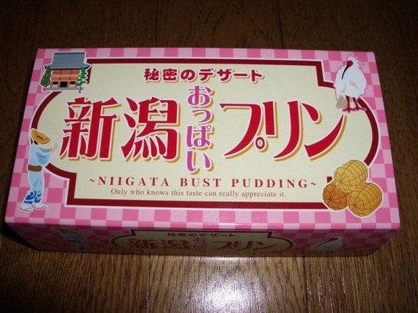Japanese Breast Pudding