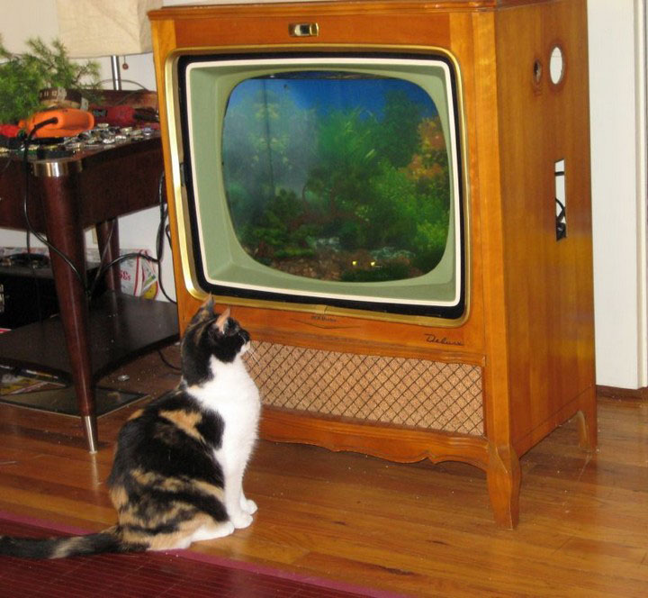 What To Do with Your Old TV