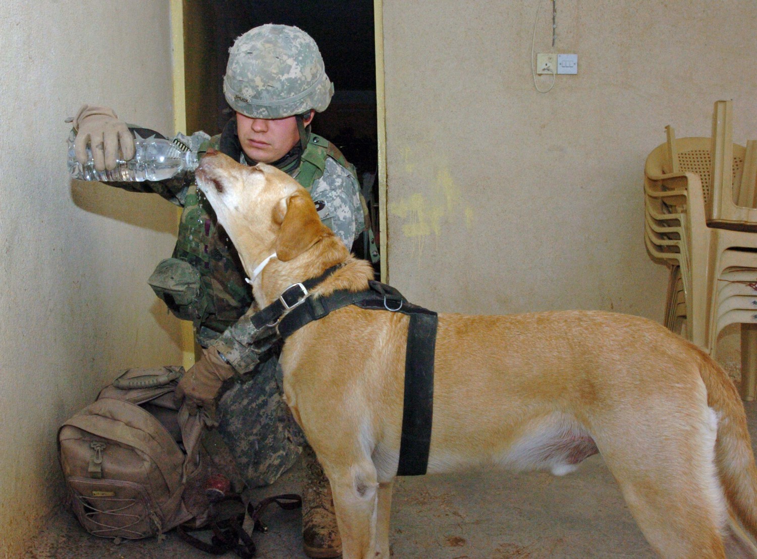 Staff Sgt. Chuck Shuck and his K9 partner, Sgt. 1st Class Gabe, both with 178th Military Police Detachment, take a break to hydrate in the village of Shukran, near Forward Operating Base Q-West. U.S. Army photo by Spc. Amanda Morrissey. 
