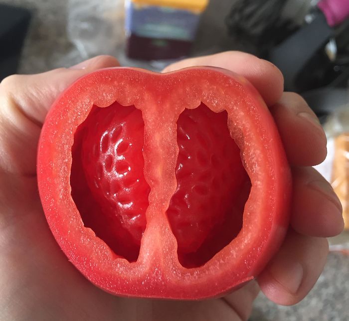 tomato inside
