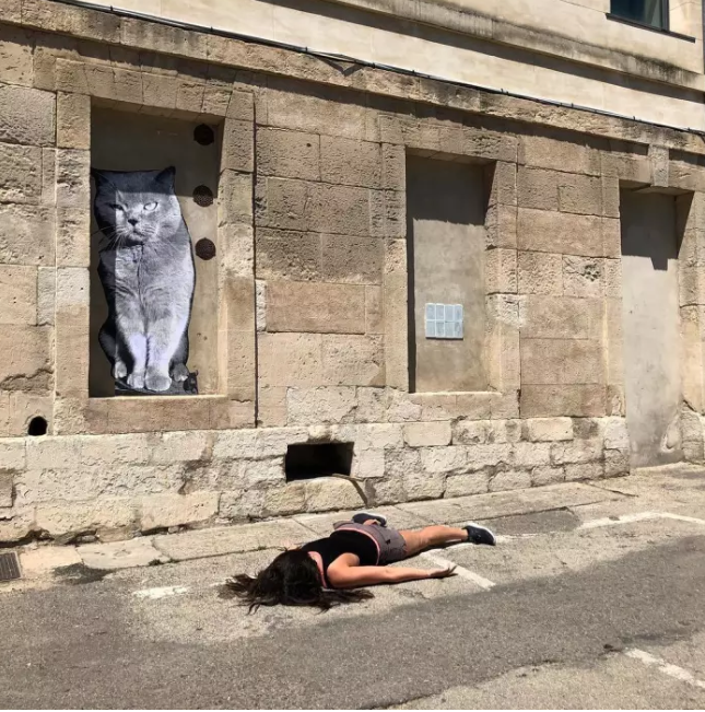 Under The Big Cat In Arles, France.