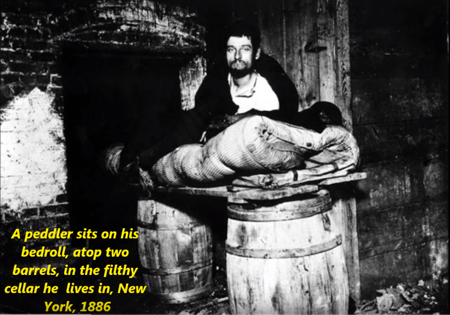 cave dweller jacob riis - A peddler sits on his bedroll, atop two barrels, in the filthy cellar he lives in, New York, 1886