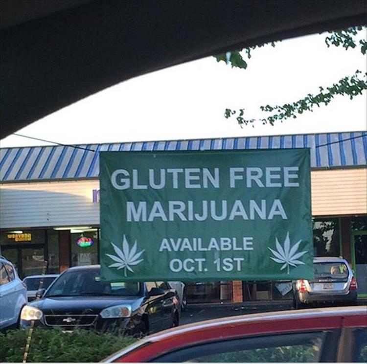 gluten free weed - Gluten Free Marijuana Available Oct. 1ST