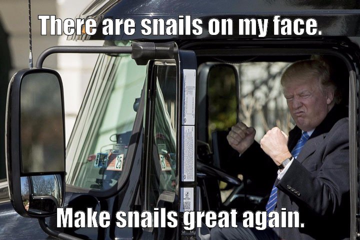 Make Snails Great Again