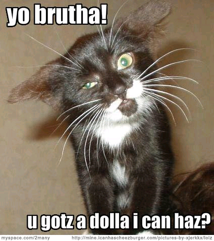Caturday LOLcats