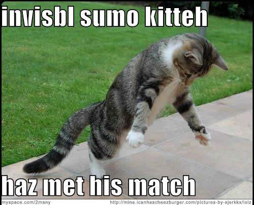 Caturday LOLcats