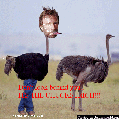 Meet the chuckstrich.

ChucknorrisostrichChuckstrich!!!
