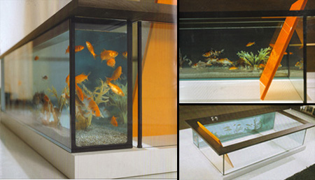 Amazing Aquariums