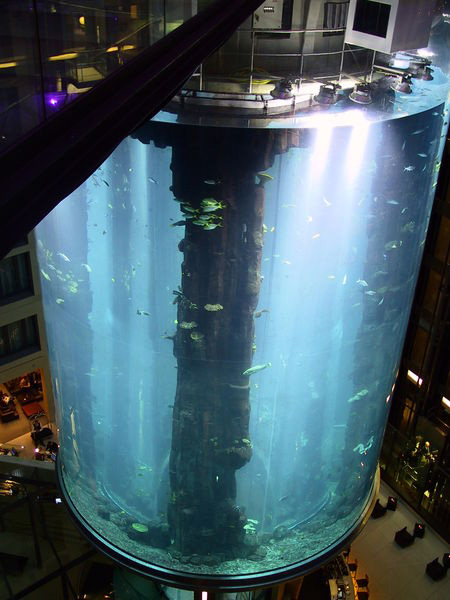 Amazing Aquariums