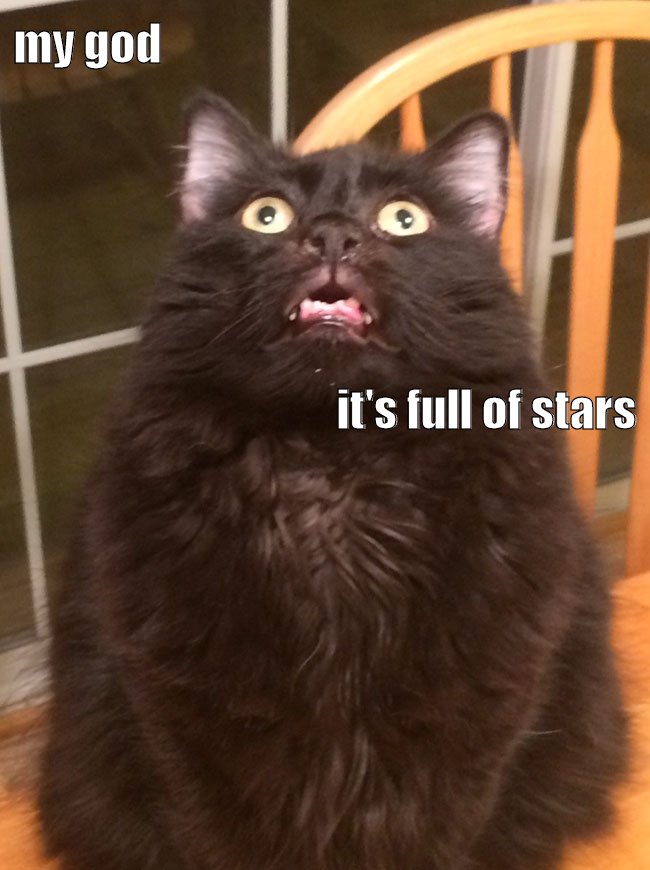 "My god, it's full of stars." -cat