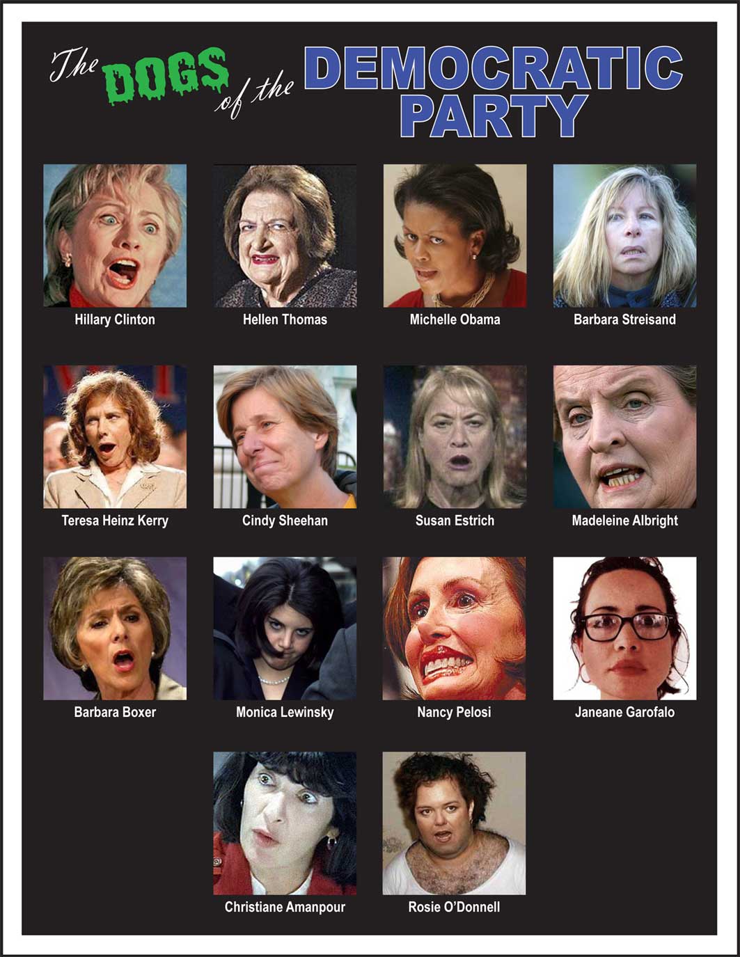 The Ladies of Politics