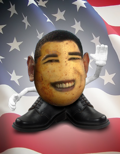 This spud is gearing up for the election.