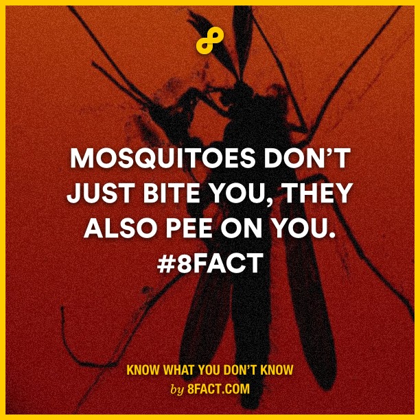 18 Facts that you might not know