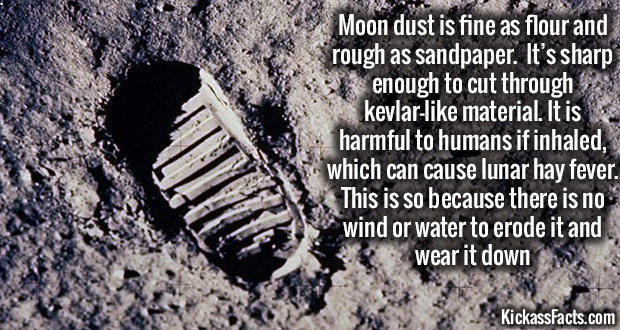 apollo 11 one small step - ye Moon dust is fine as flour and rough as sandpaper. It's sharp enough to cut through kevlar material. It is harmful to humans if inhaled, which can cause lunar hay fever. This is so because there is no wind or water to erode i