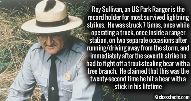 roy sullivan meme - Roy Sullivan, an Us Park Ranger is the record holder for most survived lightning strikes. He was struck 7 times, once while operating a truck, once inside a ranger station, on two separate occasions after runningdriving away from the s