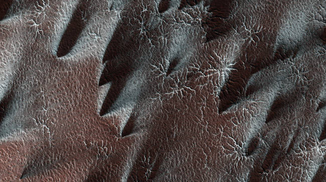 The south polar region of Mars is covered every year by a layer of carbon dioxide ice. In a region called the "cryptic terrain," the ice is translucent and sunlight can penetrate through the ice to warm the surface below. The ice layer sublimates evaporates from the bottom. The dark fans of dust seen in this image come from the surface below the layer of ice, carried to the top by gas venting from below. The translucent ice is "visible" by virtue of the effect it has on the tone of the surface below, which would otherwise have the same color and reflectivity as the fans. Bright streaks in this image are fresh frost.