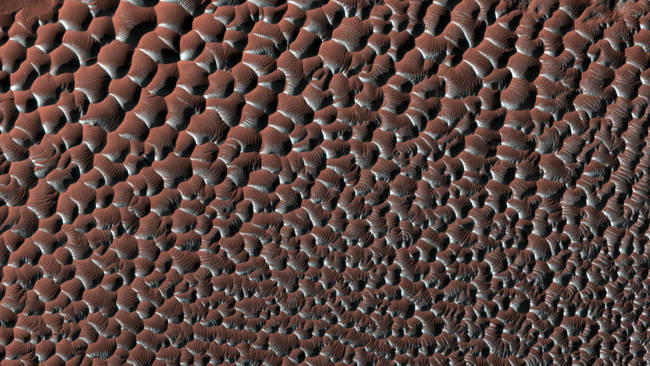 Scalloped sand dunes in the southern hemisphere of mars, displaying seasonal frost on the south-facing slopes, which highlights some of the regular patterns, as the frost forms only on parts of the ripples.