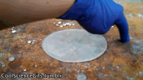 Science Gifs to make you....