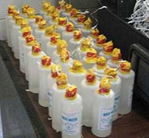 42 bottles of liquid ketamine, declared as holy water. by a canadian, no less.