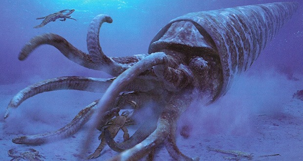 Imagine a kraken. Now put it in an armored ice cream cone. You get Cameroceras. This giant ancient ancestor of squids and octopi was a slow mover due to its 12 meter long shell. Nonetheless, it was powerful enough to take down sea scorpions and ancient predatory fish.