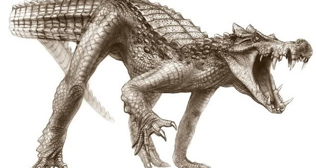 Crocodiles are pretty scary on their own right. They hunt in rivers and lakes, staying in the shallows to grab prey from the shore, but they rarely venture far from water. Enter Kaprosuchus, whose name means boar crocodile because of its long chompers. This thing was an all-terrain, six meter long killing machine. It could do what any crocodile could do. Go in the water, wait, attack, etc., but it also could run on land. So any living thing living in Cretaceous Sahara was fair game. Oh, and it could also kill dinosaurs.
