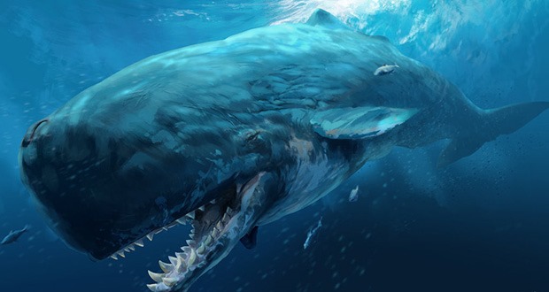 This giant whale would have made even Megalodon sharks cry. Megalodon was a giant shark with teeth the size of your hand. This whale trumps it. For starters Livyatan was named after the Biblical monster, the one that even God himself had to kill. Livyatan had teeth over a foot long. It grew larger than Megalodon. It hunted anything like baleen whales, beaked whales, dolphins, porpoises, sharks, sea turtles, seals and sea birds.