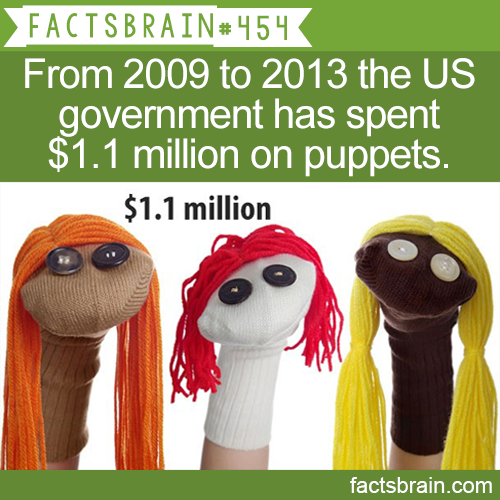 sock puppets - Facts Brain From 2009 to 2013 the Us government has spent $1.1 million on puppets. $1.1 million factsbrain.com