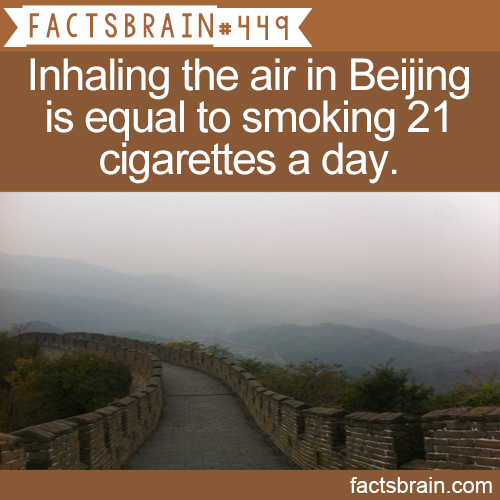 4chan face - Factsbrain Inhaling the air in Beijing is equal to smoking 21 cigarettes a day. factsbrain.com