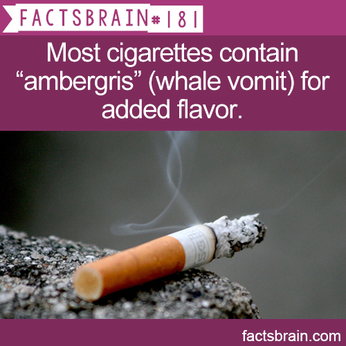 smoked cigarette - Factsbrain# | 8 | Most cigarettes contain ambergris whale vomit for added flavor. factsbrain.com