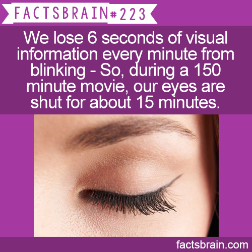htds - Facts Brain We lose 6 seconds of visual information every minute from blinking So, during a 150 minute movie, our eyes are shut for about 15 minutes. factsbrain.com