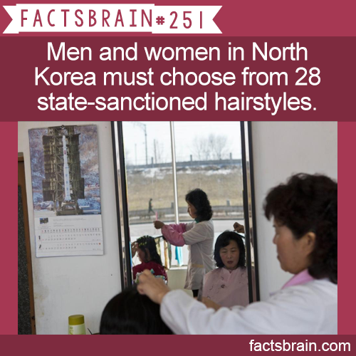 mevlana museum - Factsbrain# 251 Men and women in North Korea must choose from 28 statesanctioned hairstyles. factsbrain.com