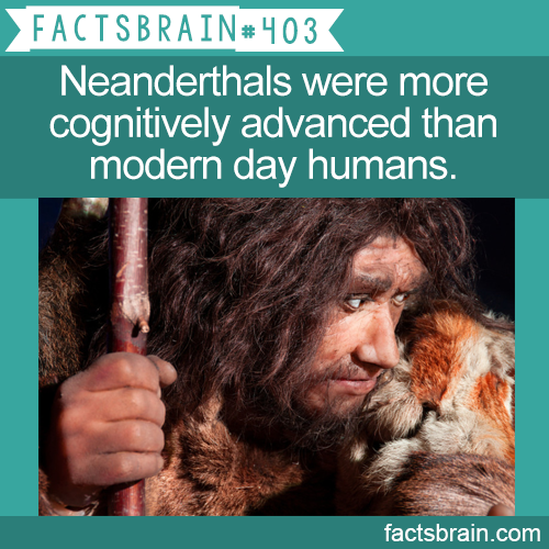 Neanderthal - Factsbrain Neanderthals were more cognitively advanced than modern day humans. factsbrain.com