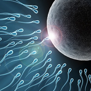 You most probably weren't the fastest sperm cell. The egg has an outer protective layer that takes several sperm to wear down before fertilization. Honestly, you were probably one of the slowest cells who arrived too late to do any work but still won the lottery. Also, the egg actually has a number of chemical barriers that select sperm with certain attractive chemical markers. The egg actively chooses which packet of DNA makes it to fertilization. <a href="http://www.sciencedaily.com/releases/2012/08/120801143728.htm" target="_blank">Source</a>.