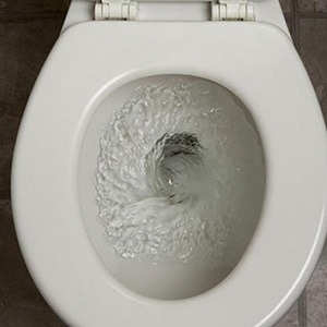 Toilets in the Northern and Southern hemispheres don't flow in opposite directions due to the Coriolis Effect. Its simply not powerful enough at such a small scale to have any impact. <a href="http://en.wikipedia.org/wiki/Coriolis_effect#Draining_in_bathtubs_and_toilets" target="_blank">Source</a>.