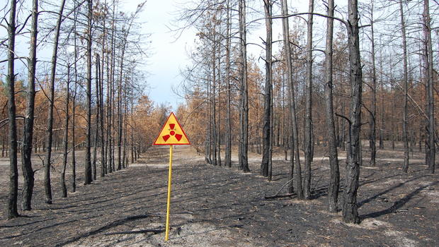 dead forest chernobyl