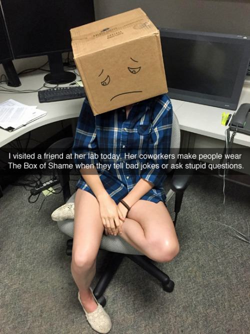 box of shame meme - I visited a friend at her lab today. Her coworkers make people wear The Box of Shame when they tell bad jokes or ask stupid questions,