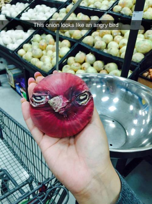 onion bird - This onion looks an angry bird