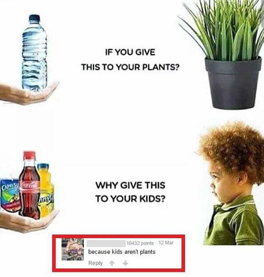 if you give your plants this why you give your kids this - If You Give This To Your Plants? Why Give This To Your Kids? 10432 points 12 Mar because kids aren't plants