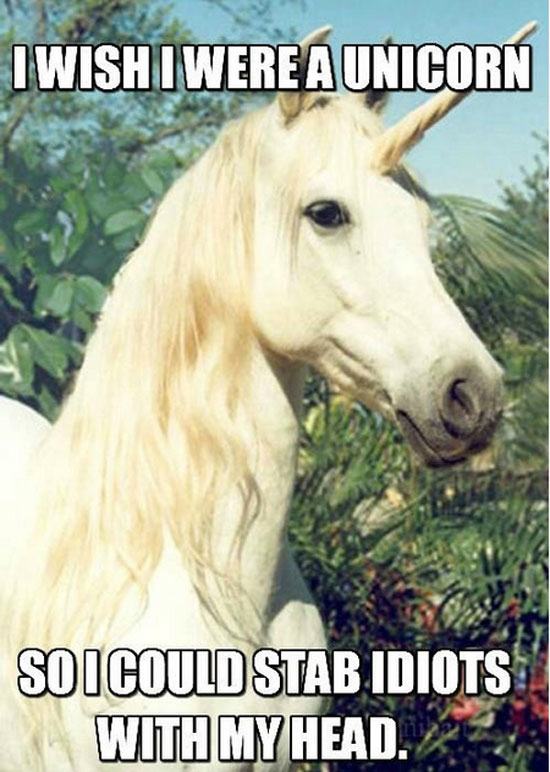wish i was a unicorn so i could stab idiots w - I Wishi Were A Unicorn So I Could Stab Idiots With My Head.