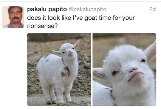 goat time for your nonsense - 2d pakalu papito does it look I've goat time for your nonsense?