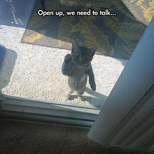 knocking door funny - Open up, we need to talk...